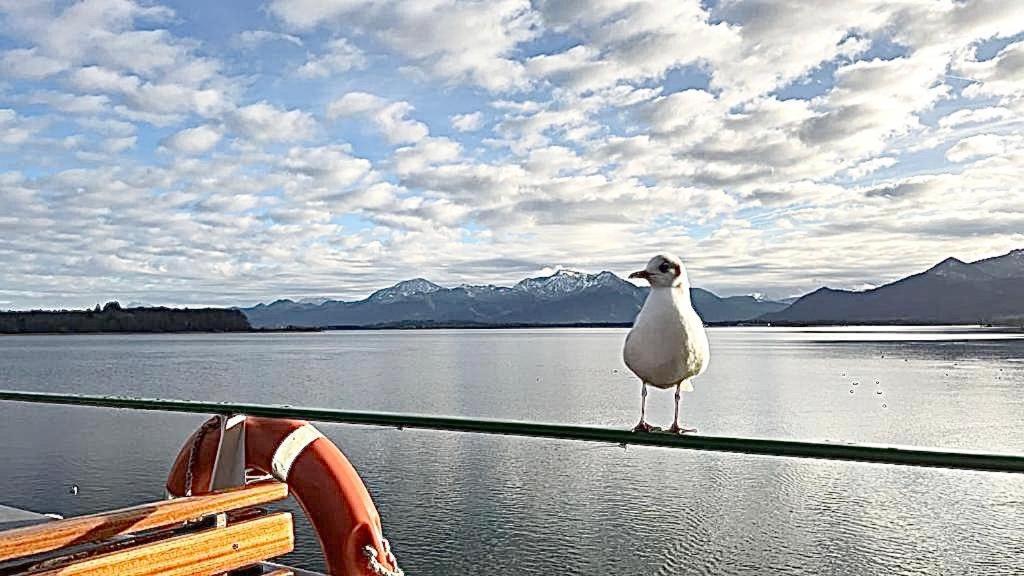 Ferienwohnung Arte Hafen Prien am Chiemsee Exteriör bild
